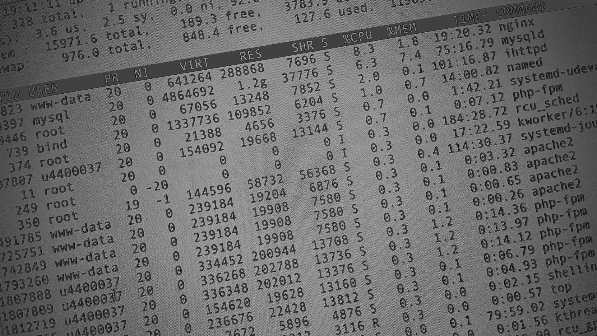 Настройка сервера в Альметьевске