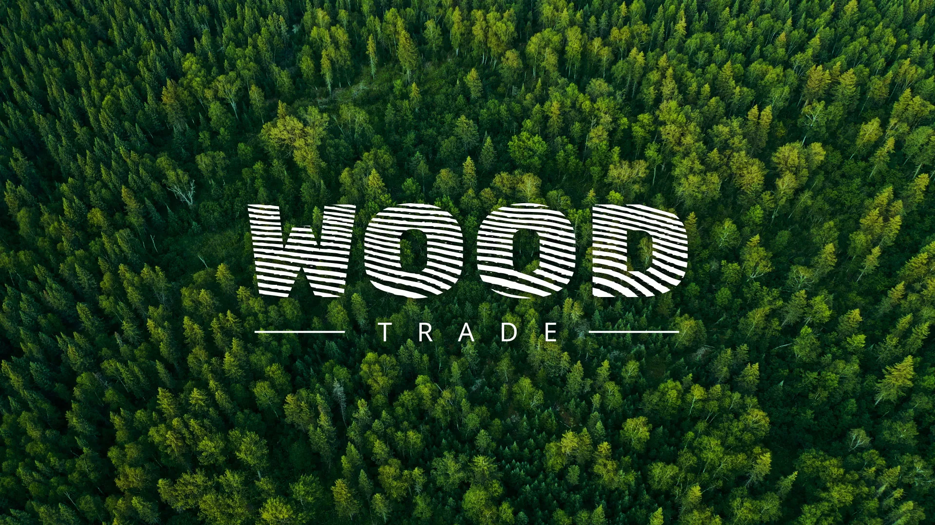 Разработка интернет-магазина компании «Wood Trade» в Альметьевске